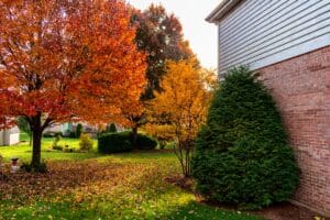 suburban home with colorful trees